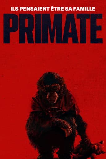 Primát
