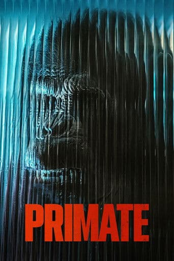 Primát