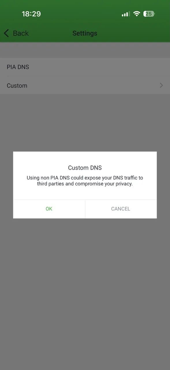 Application Private Internet Access pour iPhone avec les réglages réseau et le PIA DNS